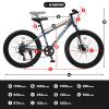 24 Inch Fat Tire Bike Adult/Youth Full Shimano 7 Speeds Mountain Bike, Dual Disc Brake, High-Carbon Steel Frame, Front Suspension, Mountain Trail Bike