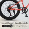 24 Inch Fat Tire Bike Adult/Youth Full Shimano 7 Speeds Mountain Bike, Dual Disc Brake, High-Carbon Steel Frame, Front Suspension, Mountain Trail Bike